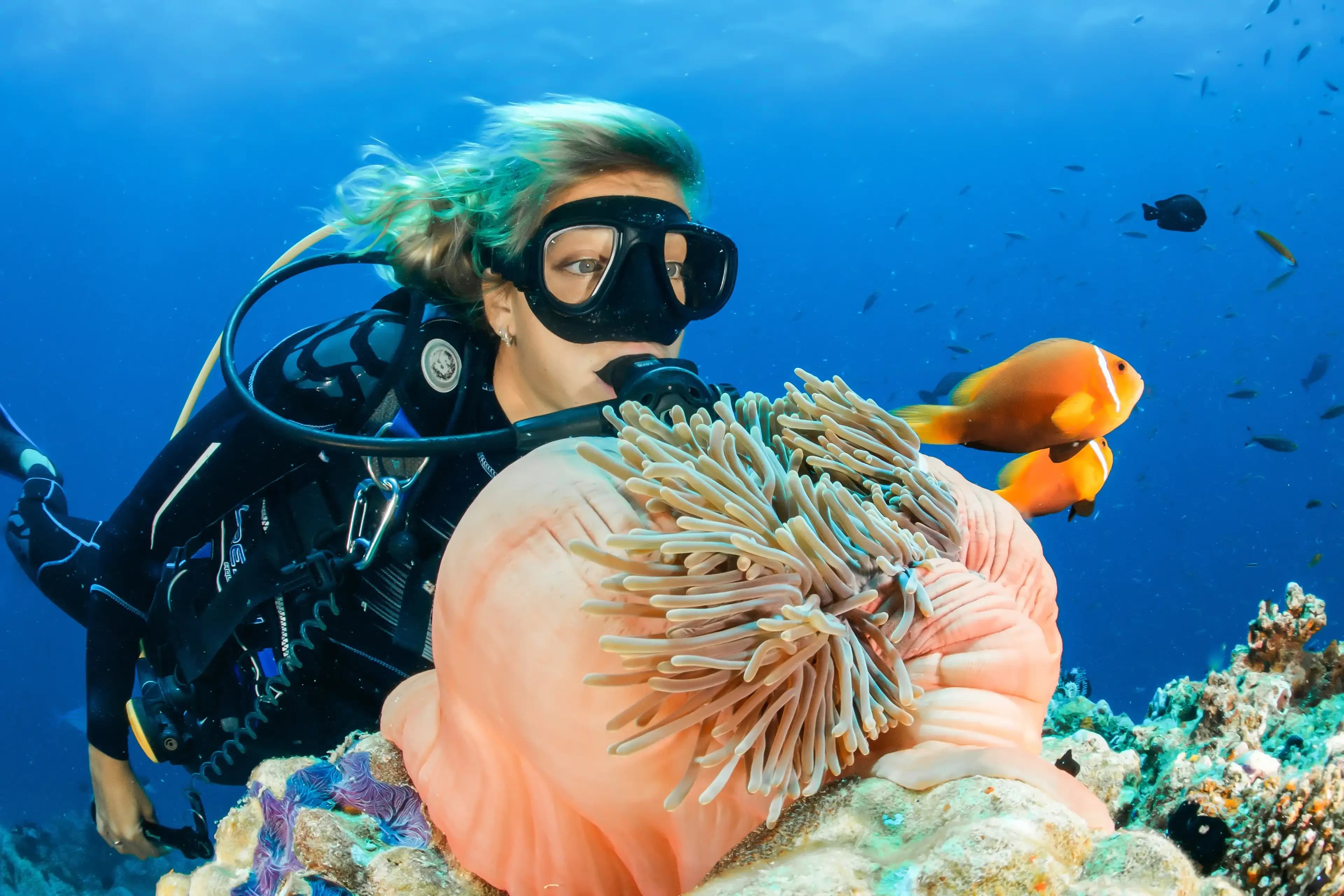 Bayahibe: відкрите водне поле PADI - Photo 5 (Gallery view)