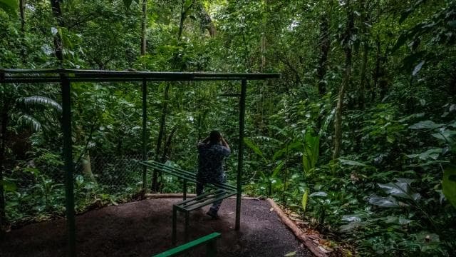 El Tanque: wycieczka z przewodnikiem po GreenEcoPark i owocami sezonowymi - Photo 5 (Gallery view)