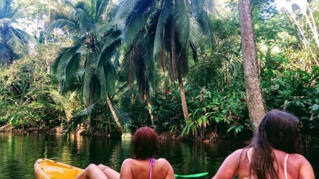 Punta Uva: Kayak and Sloth Watching Tour - Photo 2 (Gallery view)