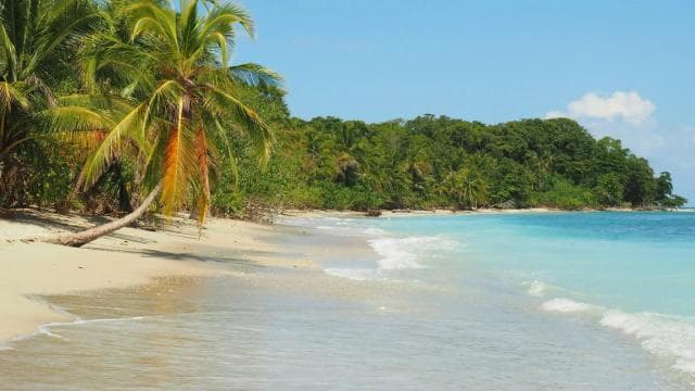 Costa Rica: vezetett természettúra a Cahuita Nemzeti Parkban - Photo 4 (Gallery view)