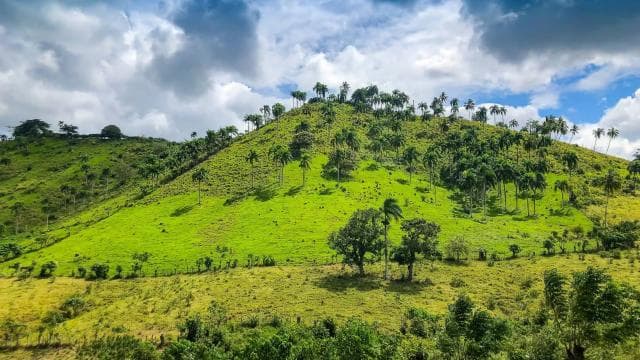From Punta Cana: Full-Day Island Tour with Lunch - Dominican Republic