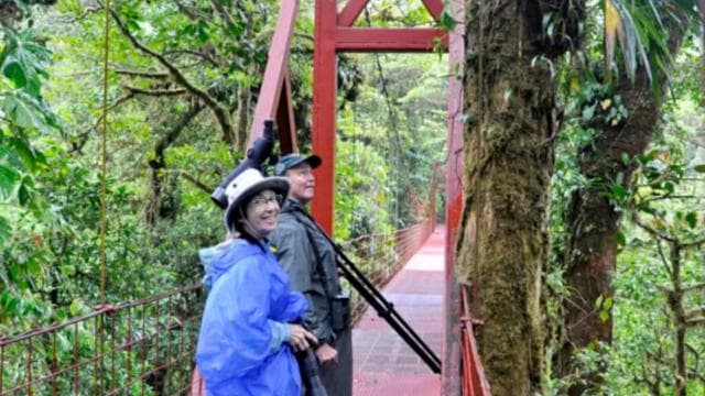 Monteverde: Cloud Forest Reserve Guided Hike - Photo 5 (Gallery view)