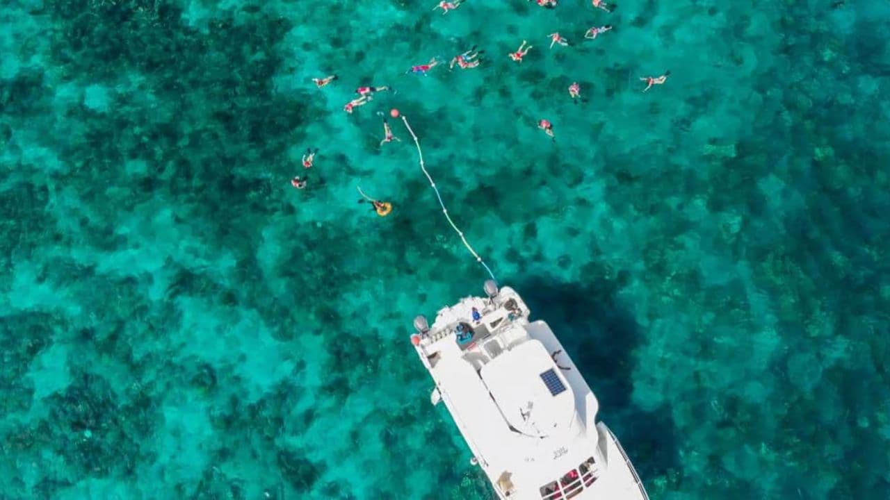 Punta Cana: Full-Day Snorkeling Tour to Catalina Island - Photo 2 (Gallery view)