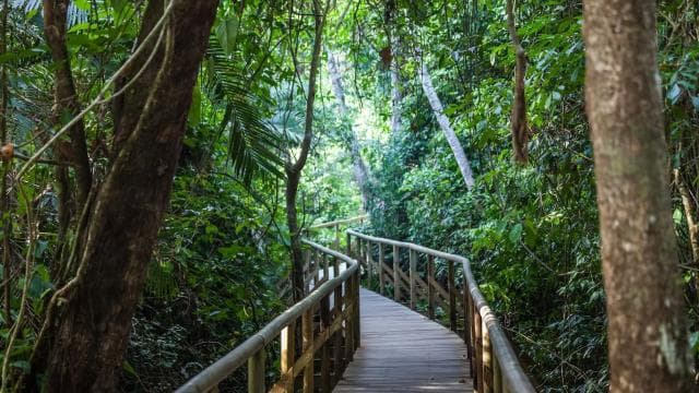 Manuel Antonio: Discover the tropical forests & white-sand - Photo 2 (Gallery view)