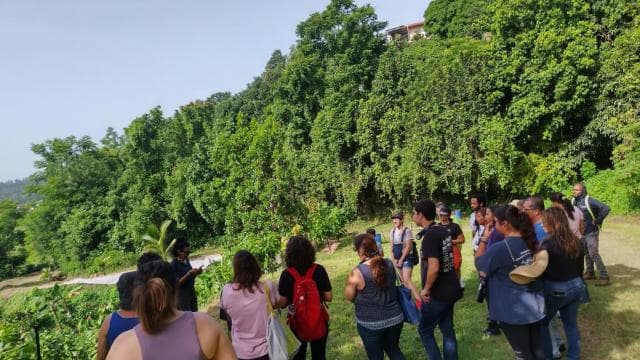 Moca, PR: Rundgang durch die Kakaofarm und Schokoladenverkostung - Photo 5 (Gallery view)