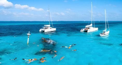 Saona Island Day Tour from Punta Cana with Lunch & Open Bar - Photo 5 (Gallery view)