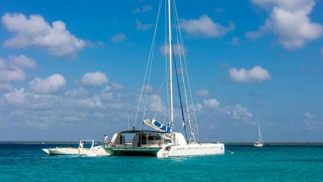 De la Bayahíbe: Croazieră cu catamaran pe insula Saona cu bufet - Photo 2 (Gallery view)