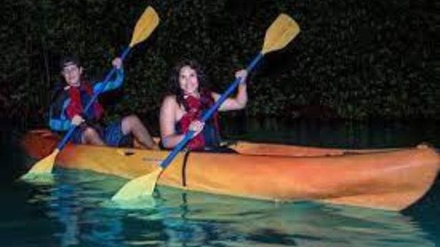 Fajardo: Bioluminescent Lagoon Kayak or Full Moon Kayak Tour - Photo 5 (Gallery view)