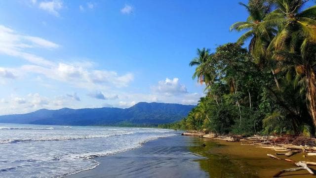 Marino Ballena National Park: Whale Watching In Uvita - Photo 4 (Gallery view)