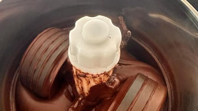 Moca, PR: Cacao Farm Walking Tour and Chocolate Tasting - Dominican Republic