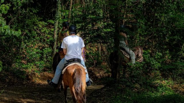 From Carolina: Horse Riding at a Private Ranch - Photo 5 (Gallery view)