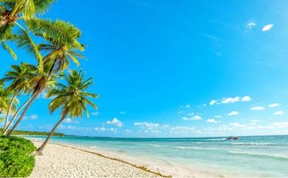 Samana: Cayo Levantado with Transportation Included - Photo 2 (Gallery view)