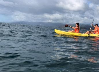 Las Terrenas : Whale watching & Kayaking - Photo 4 (Gallery view)