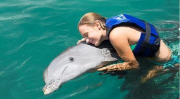 Punta Cana Dolphin Adventure: 40-Minute Interaction - Photo 2 (Gallery view)