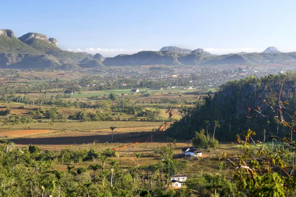 Viñales Valley Day Trip - Photo 5 (Gallery view)