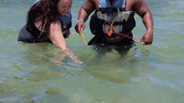 Puerto Rico: Jetski & Tropical Coast Experience - Dominican Republic
