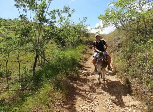 El Limón kaskad cheval vwayaj - Photo 4 (Gallery view)