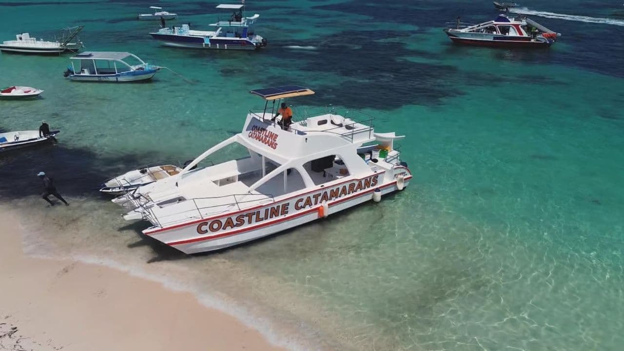Punta Cana :Catamaran with Open Bar and Dolphin and Stingray Watching - Photo 3 (Gallery view)