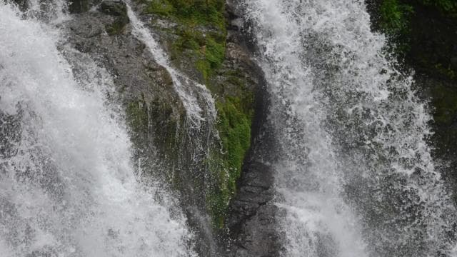 Savegre River Rafting and Waterfall Adventure - Photo 3 (Gallery view)