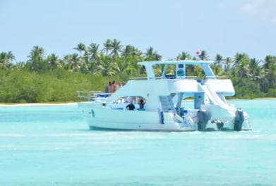 Samana: Half Day Whale Watching Humpback Whale Watching - Photo 2 (Gallery view)