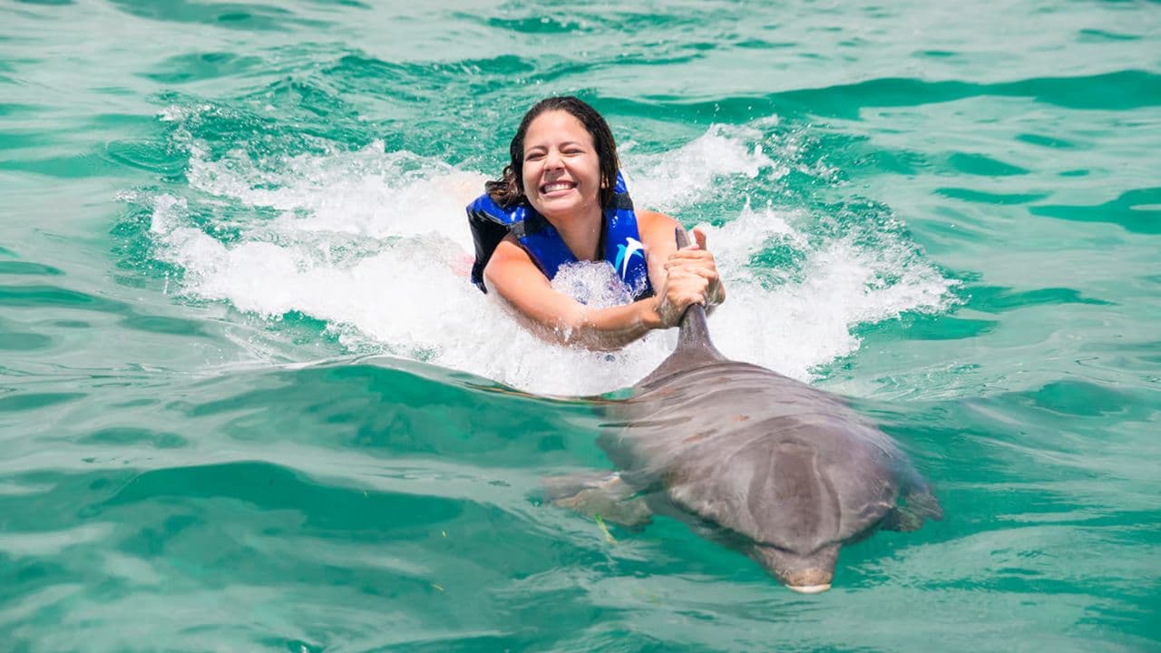 Punta Cana: Dolphin Discovery Swims and Encounters - Photo 2 (Gallery view)