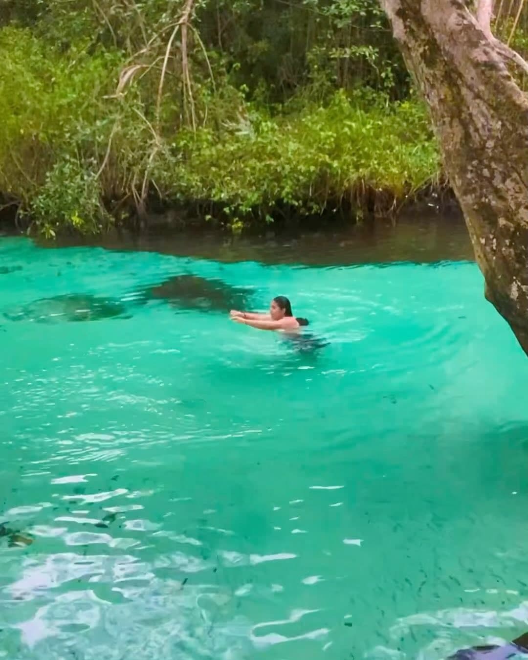 Los Haitises All In One (Kayaking, Hiking, Boating, Caving, Swimming Natural Pool & Lunch) From Las Terrenas - Photo 2 (Gallery view)