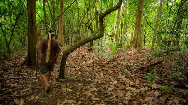 La Fortuna : visite en petit groupe de la réserve autochtone Maleku - Photo 3 (Gallery view)