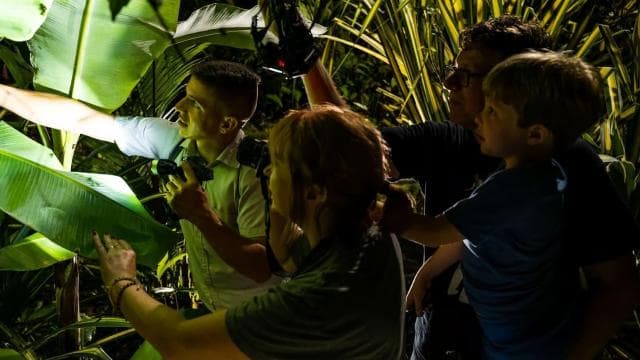 Uvita: Private Nature & Wildlife Night Tour Tropical Forest - Photo 4 (Gallery view)