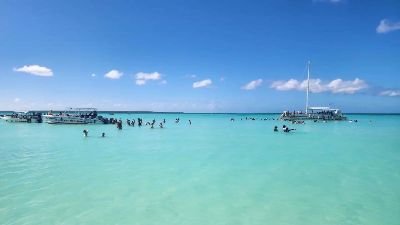 Excursion d'une journée tout compris sur l'île Saona au départ de Punta Cana - Photo 2 (Gallery view)