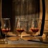 Ron Barcerló: Tur la fabrica de rom cu degustări de rom - Photo 2 (Gallery view)
