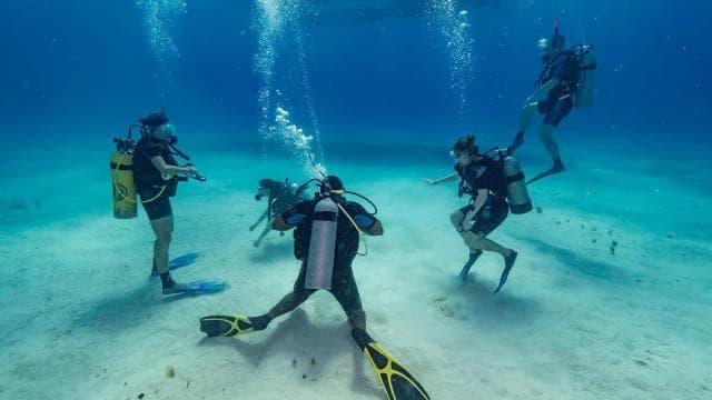 Punta Cana: Scuba Diving Catalina Island Cruise with Lunch - Photo 5 (Gallery view)