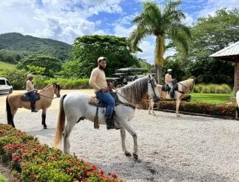 Punta Cana: Buggy and Zipline Adventure at La Hacienda - Photo 3 (Gallery view)