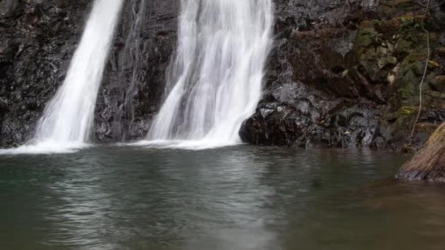 Playa Jaco: experiencia guiada de 10 cascadas escondidas - Photo 2 (Gallery view)
