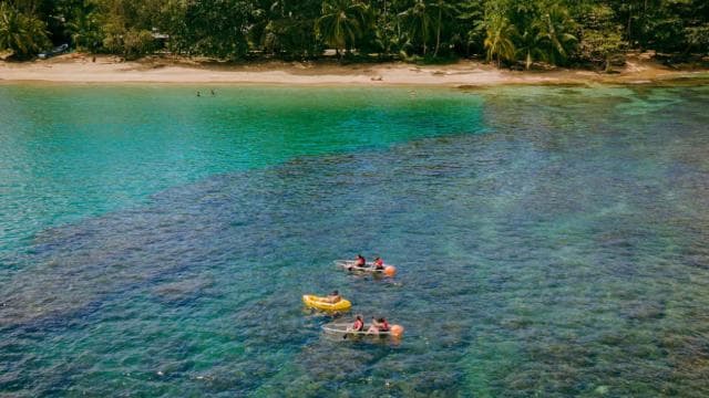 Punta Uva: Clear Kayak Tour with Jungle and Sea Views - Dominican Republic
