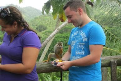 Punta Cana: Ziplines Adventures & Monkeyland Entry - Dominican Republic