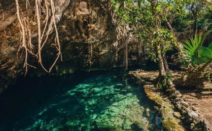 Private: Bayahibe: Jungle Walk and Cenote Snorkeling Tour - Photo 4 (Gallery view)