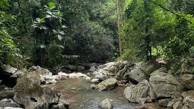 Caguas: cascadă și aventură în peșteră - Photo 2 (Gallery view)