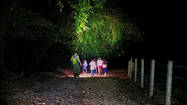 Fortuna: Tur de noapte în pădurea tropicală a vulcanului Arenal (privat) - Photo 2 (Gallery view)