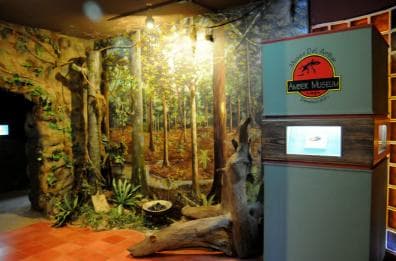 Puerto Plata Tour: History, Culture and Cable Car Ride - Photo 5 (Gallery view)