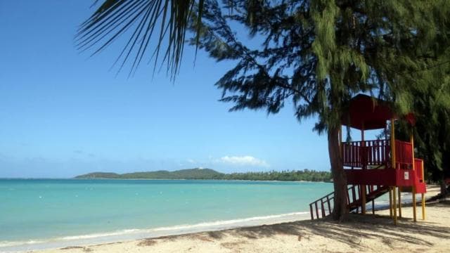 Puerto Rico: UTV and Can-Am Sightseeing Tours - Photo 3 (Gallery view)