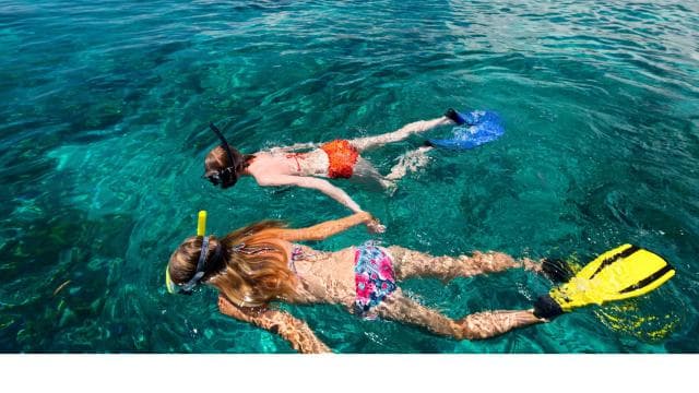 LICENSED Two-Hour Snorkeling Adventure Cahuita National Park - Dominican Republic