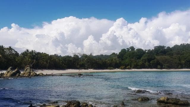 Manuel Antonio National Park Combo Tour from San Jose - Photo 3 (Gallery view)