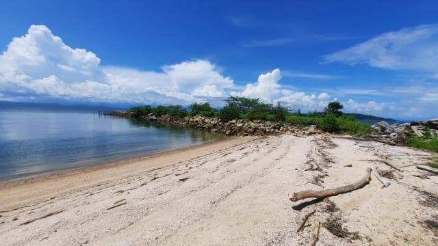 From Jaco: Bioluminiscence Boat Tour with BBQ & Drinks - Photo 5 (Gallery view)
