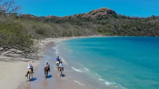 2 Stunden Reiten am Strand - Dominican Republic