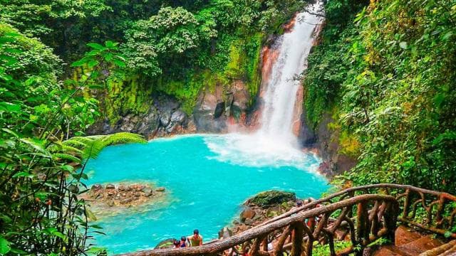Rio Celeste Waterfall and Sloth Hike with Lunch - Dominican Republic