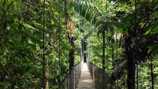 Fortuna Combo: Hanging Bridges + Arenal Volcano & Waterfall - Photo 2 (Gallery view)