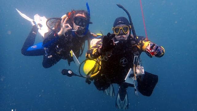 Golfito CR: Discover Scuba Diving Tour, No Experience Needed - Dominican Republic