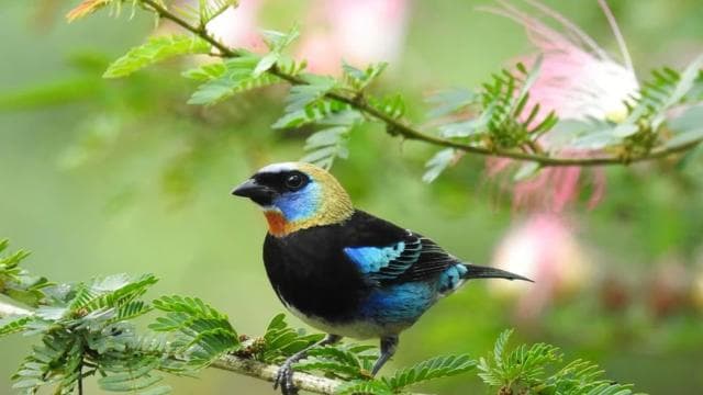 La Fortuna: Rainforest Nature Hike with Guide - Photo 4 (Gallery view)