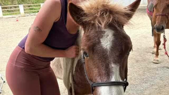 Finca Soley: Liberty Workshop and coaching with Horses - Photo 4 (Gallery view)