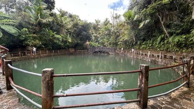 Pòtoriko: El Yunque vwayaj demi-jou ak transfè - Photo 5 (Gallery view)